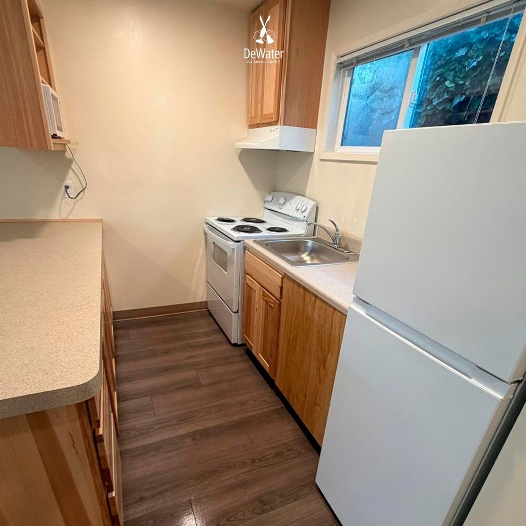 WhatsApp Image 2026-02-05 at 16.28.14