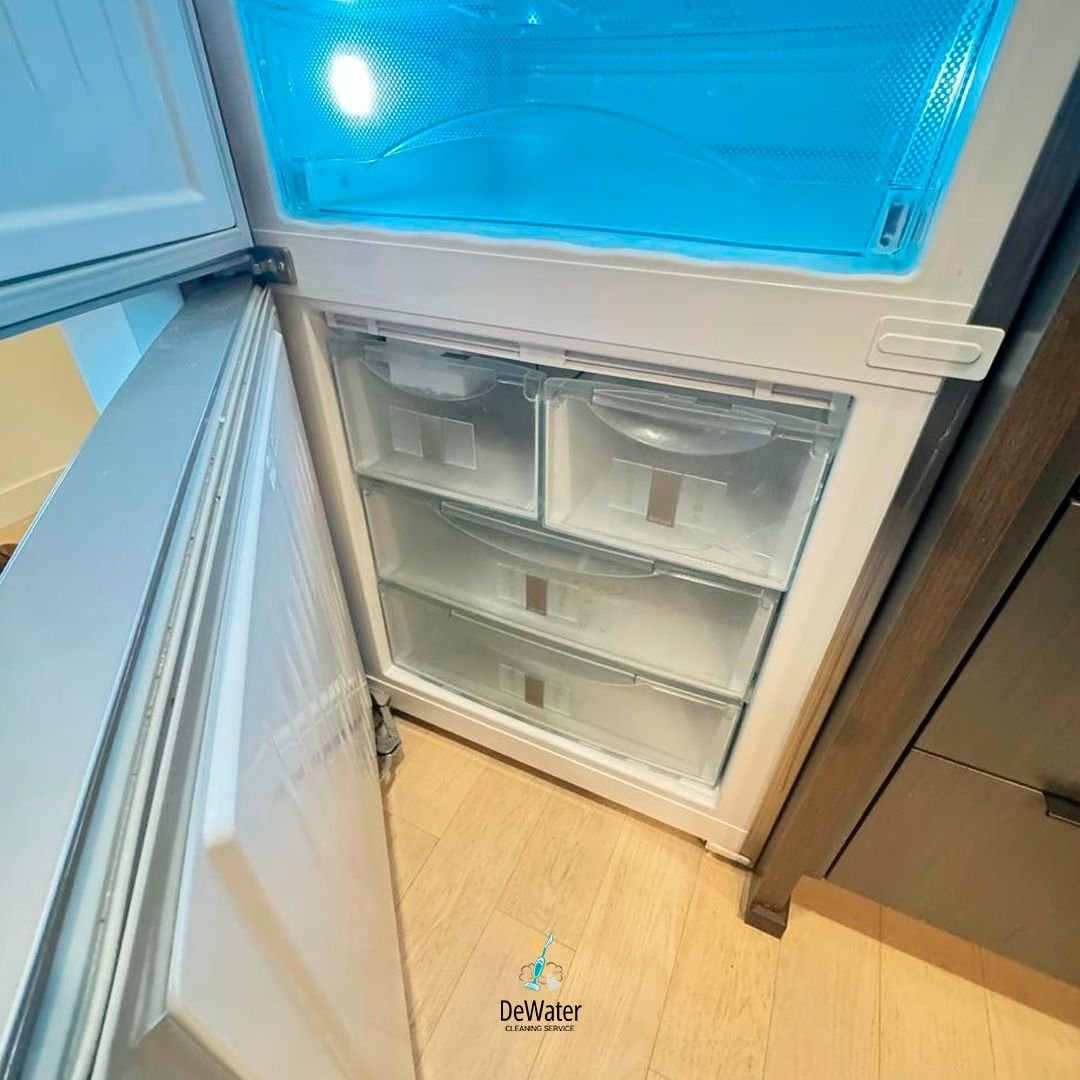 WhatsApp Image 2026-02-05 at 16.28.17 (2)