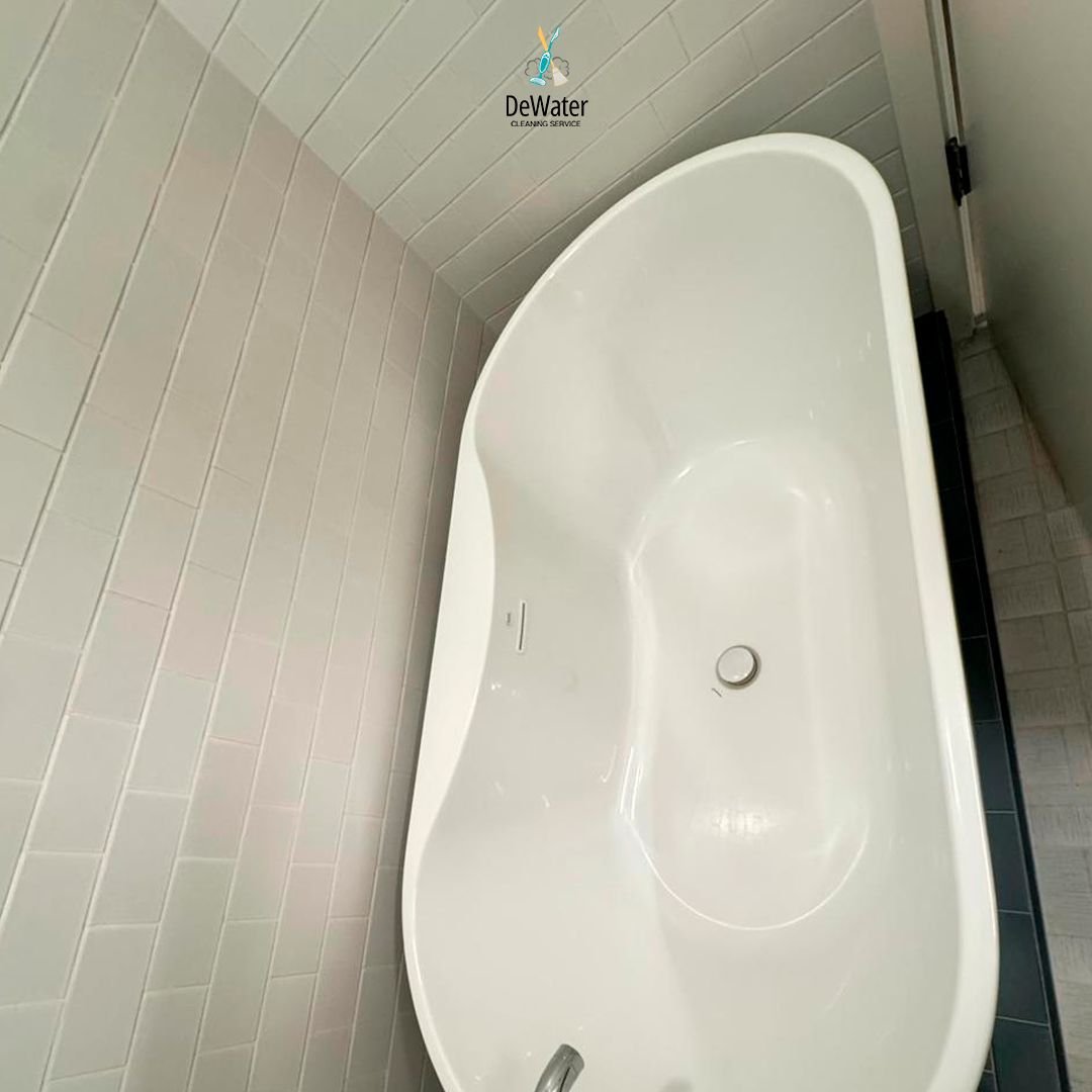 WhatsApp Image 2026-02-05 at 16.28.17